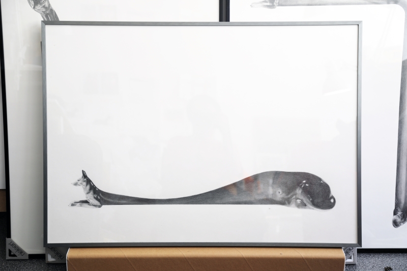 吳權倫「牧羊犬與其他 」創作作品：《Collapsed Tunnel》，紙、鉛筆，54.9X84 cm，2019